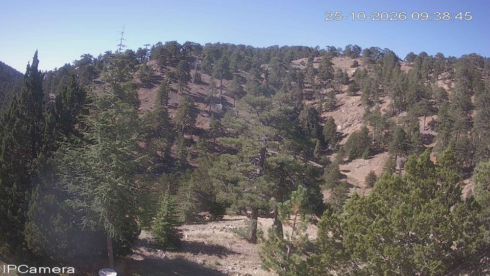 Tróodos webcam