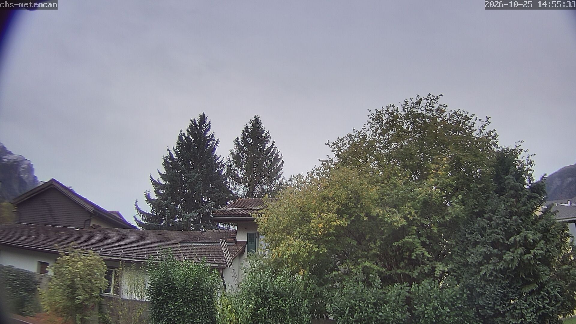 Trimmis › Süden: Trimmis Birkaweg 15