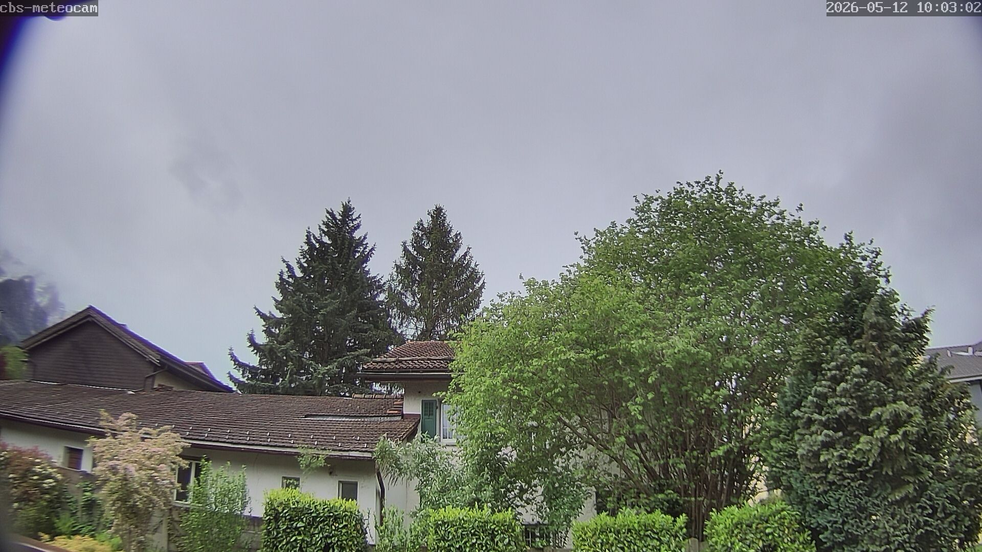 Trimmis › Süden: Trimmis Birkaweg 15