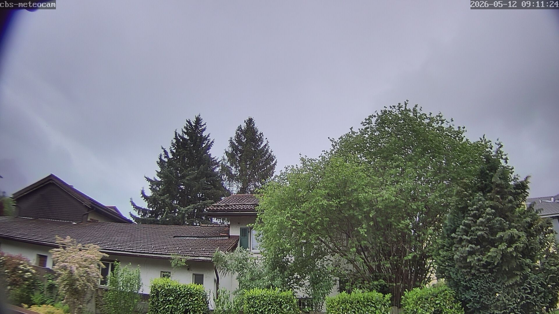 Trimmis › Süden: Trimmis Birkaweg 15