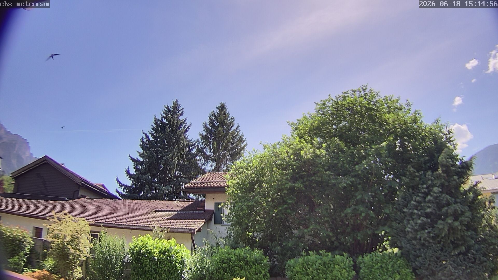 Trimmis › Süden: Trimmis Birkaweg 15