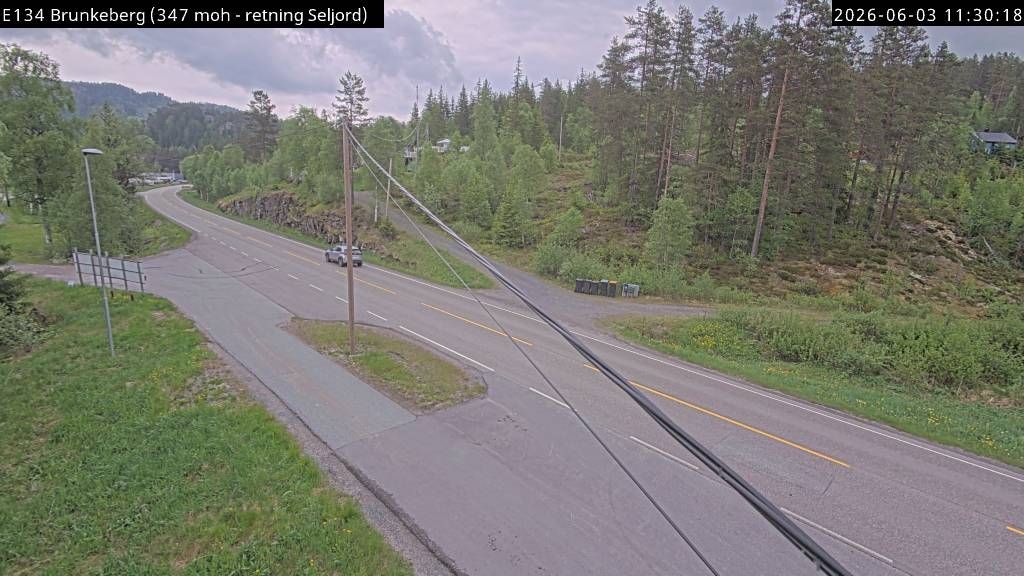 Kviteseid webkamera