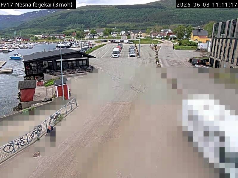 Nesna webkamera