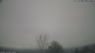 Murray Daytime Webcam Image