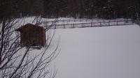 Mitterfirmiansreut › South: Bavarian Forest National Park
