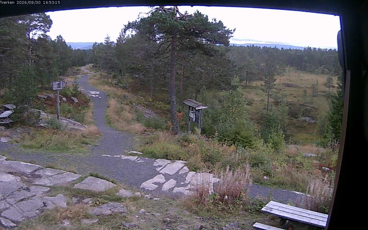 Traffic Cam Drammen › North: Tverken