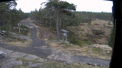 Vignette de Drammen webcam à 11:53, août 19