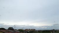 Novara