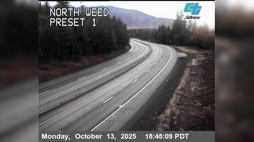 Traffic Cam Weed: North