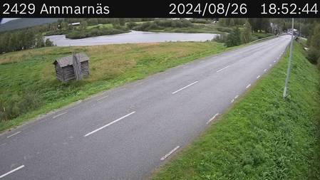 Traffic Cam Ammarnas