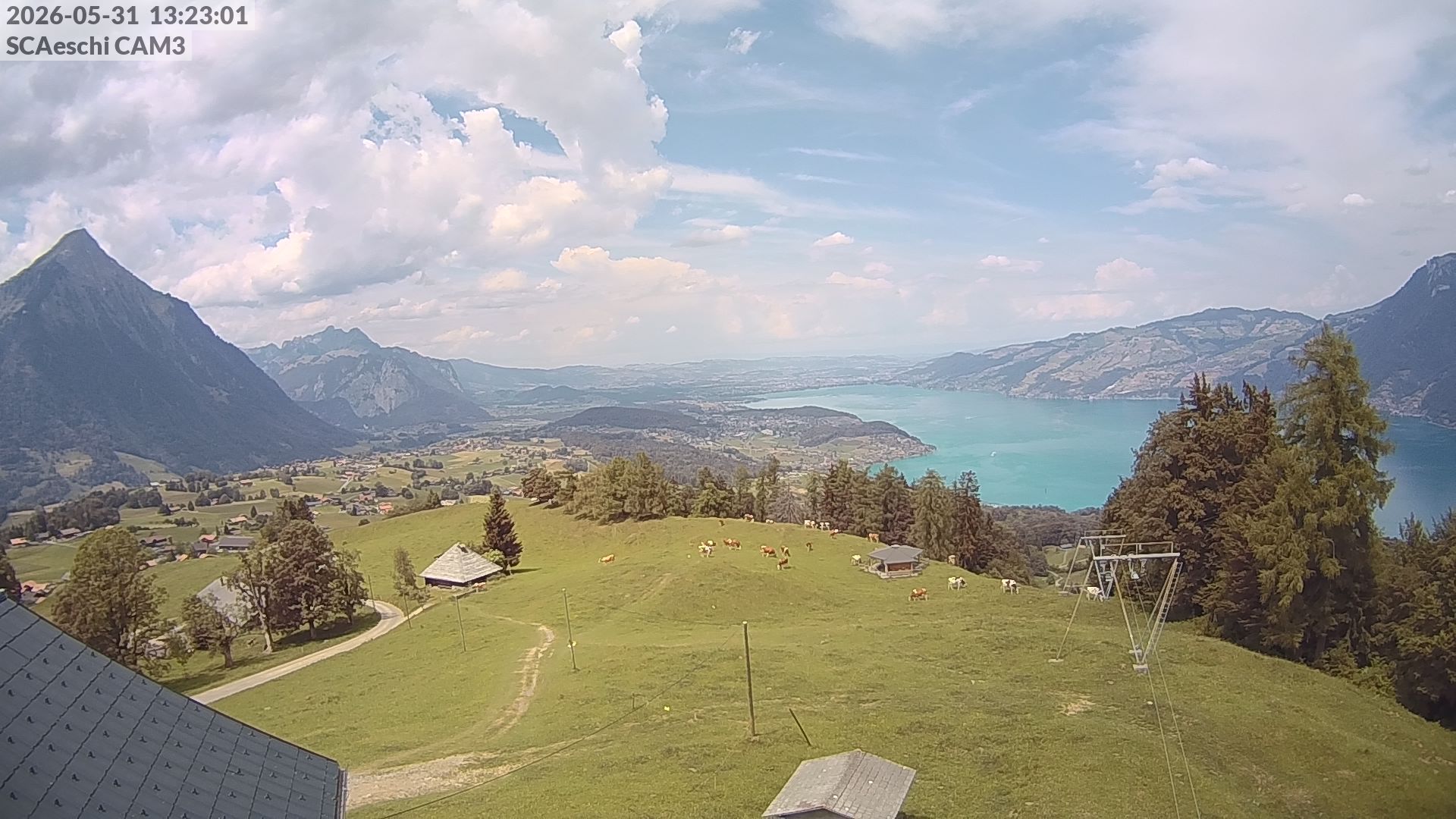 Aeschi bei Spiez: Aeschiried: Skihütte Aeschiried - Skilift Aeschiallmend Ag - Thunersee