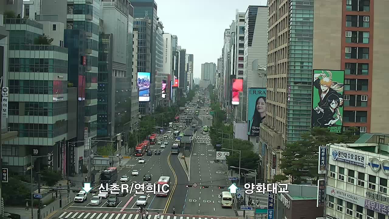 South Korea during daytime