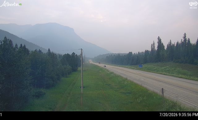 Jasper during daytime