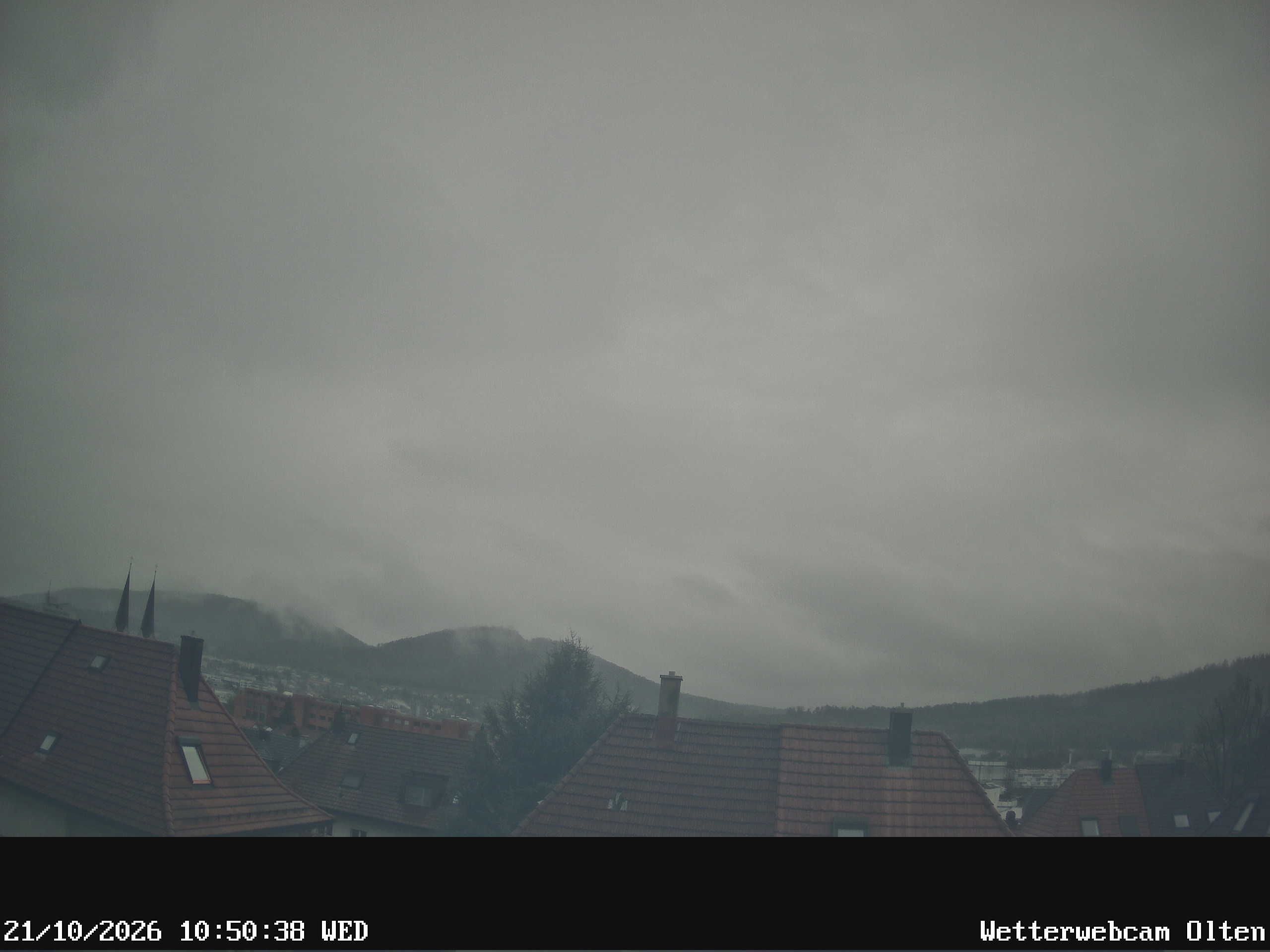 Olten › Süden: Sälischlössli - Ruine alt Wartburg