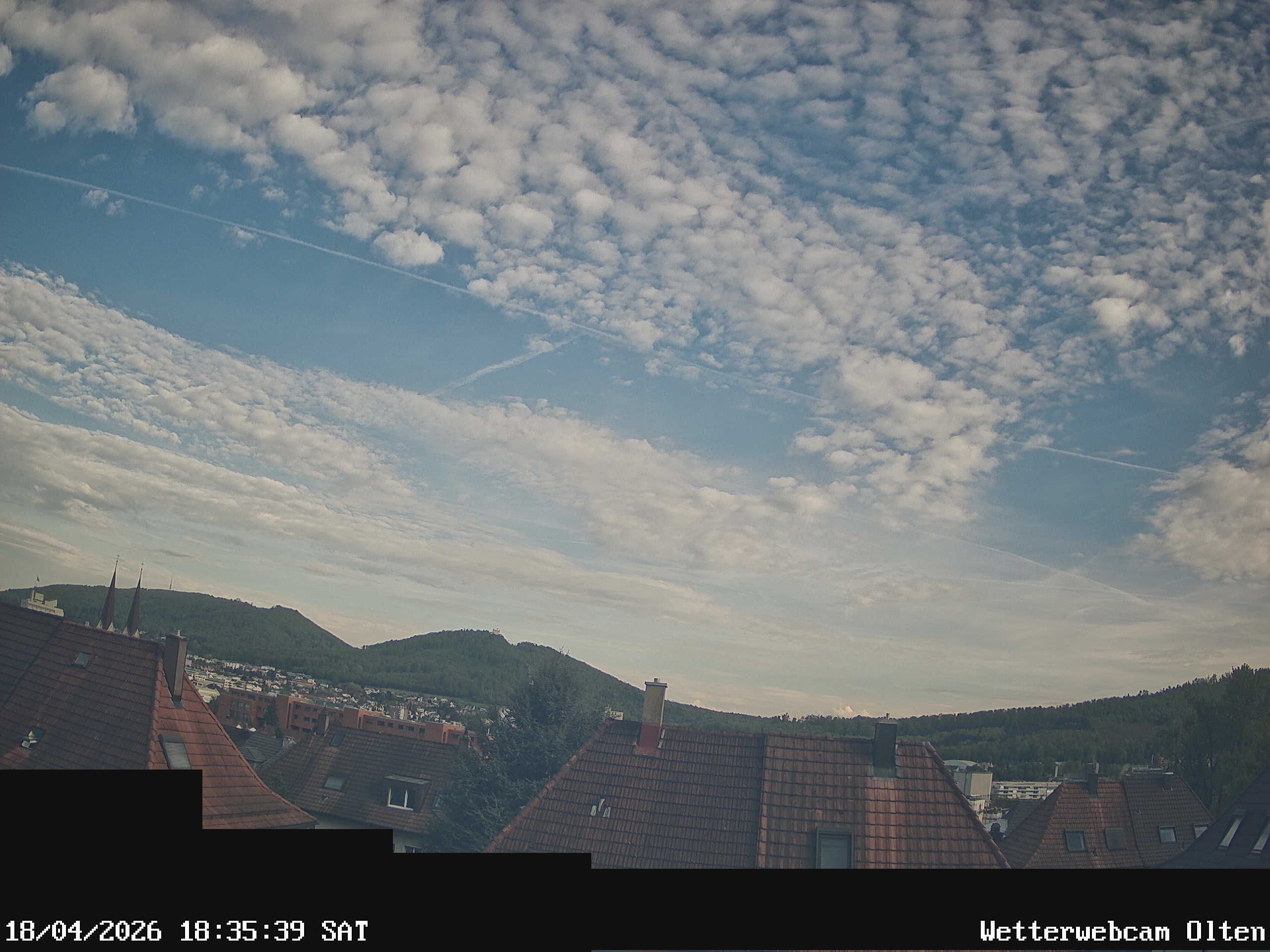 Olten › Süden: Sälischlössli - Ruine alt Wartburg