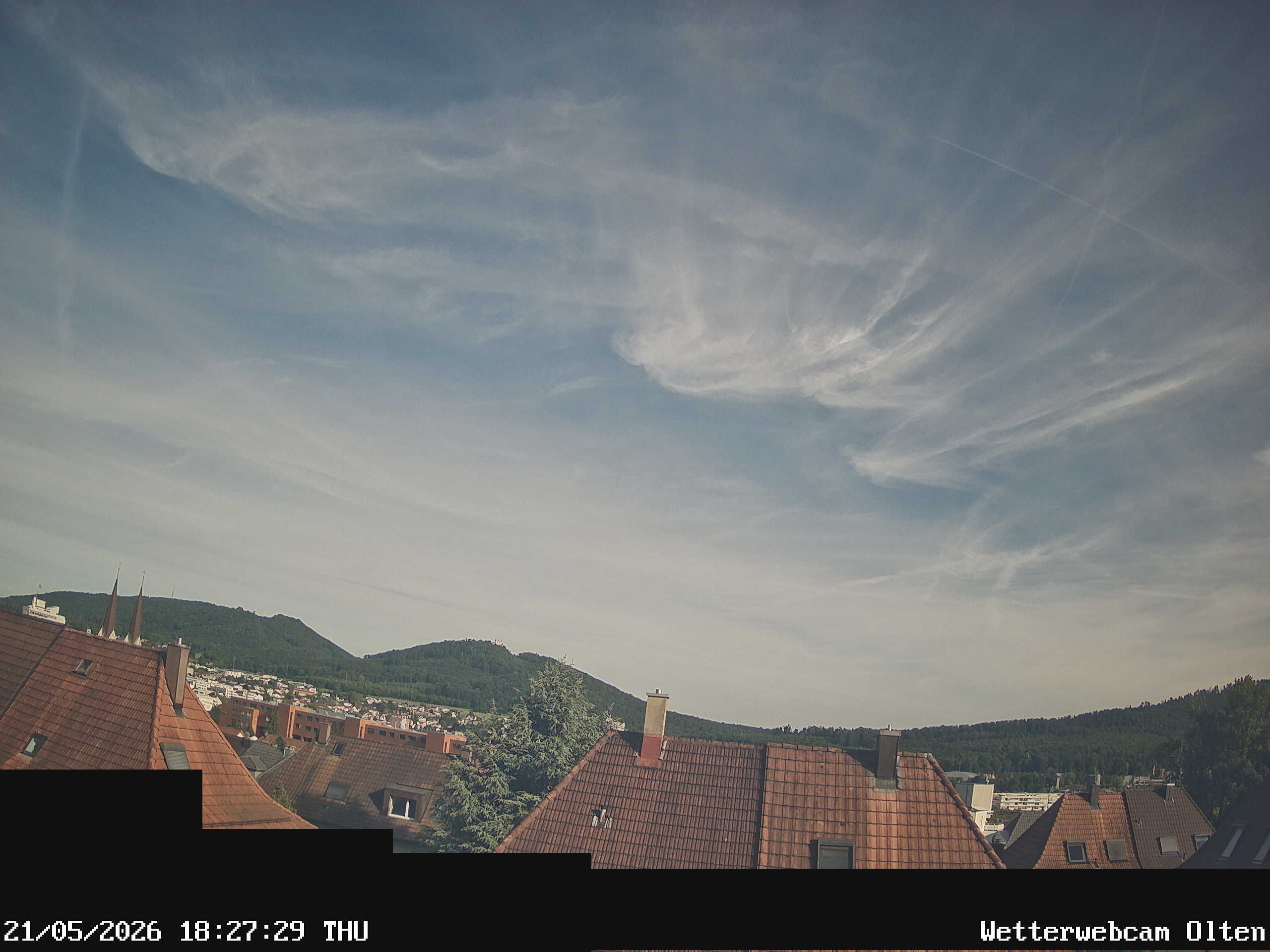 Olten › Süden: Sälischlössli - Ruine alt Wartburg