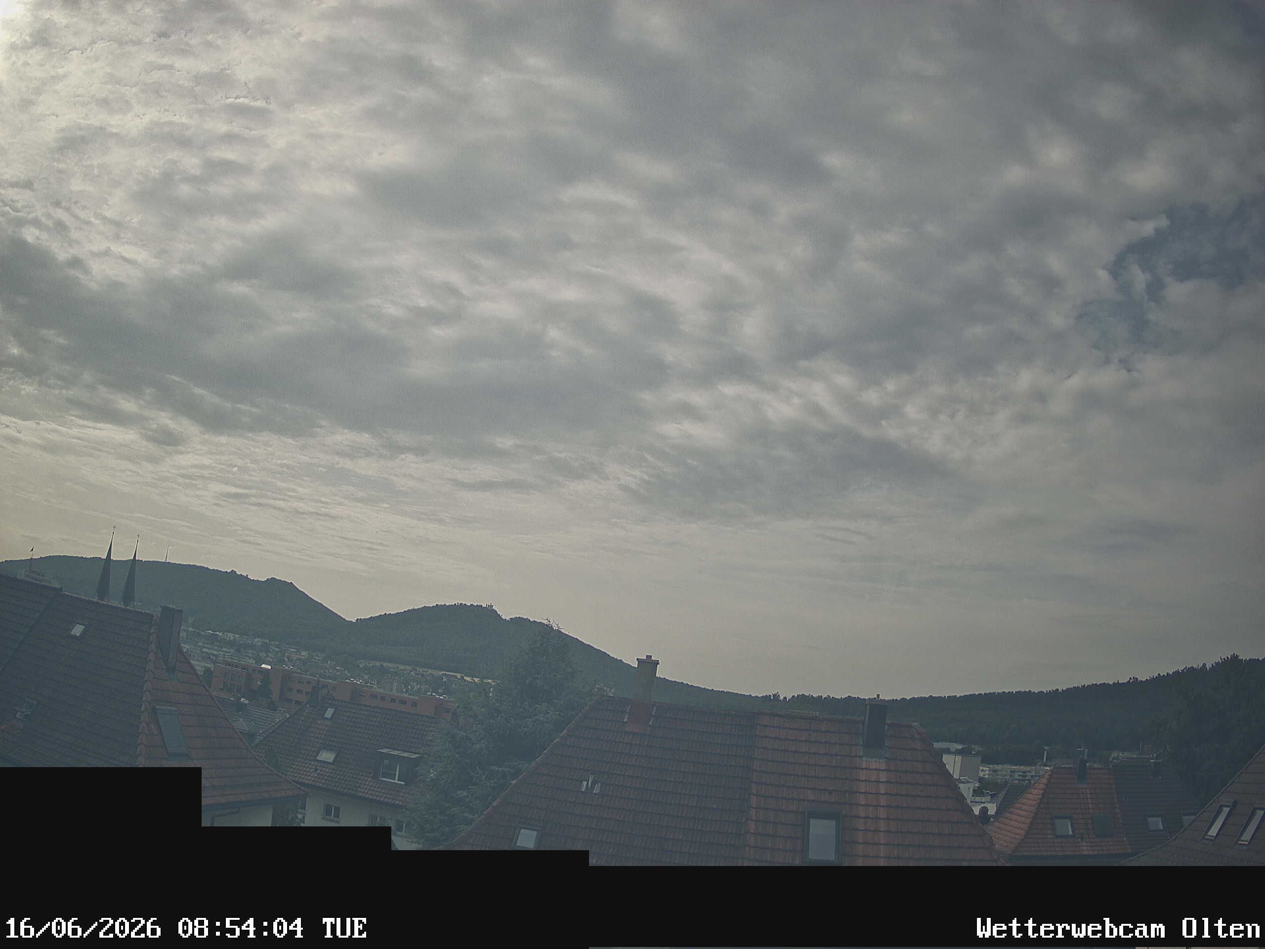 Olten › Süden: Sälischlössli - Ruine alt Wartburg