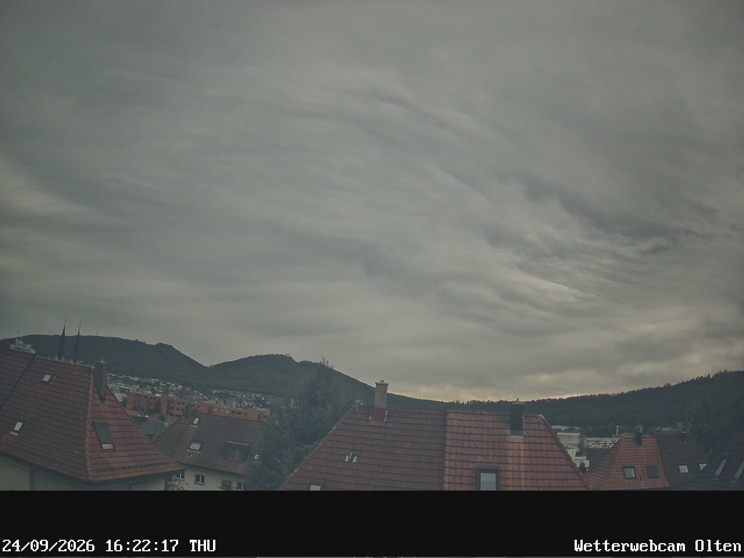 Olten › Süden: Sälischlössli - Ruine alt Wartburg