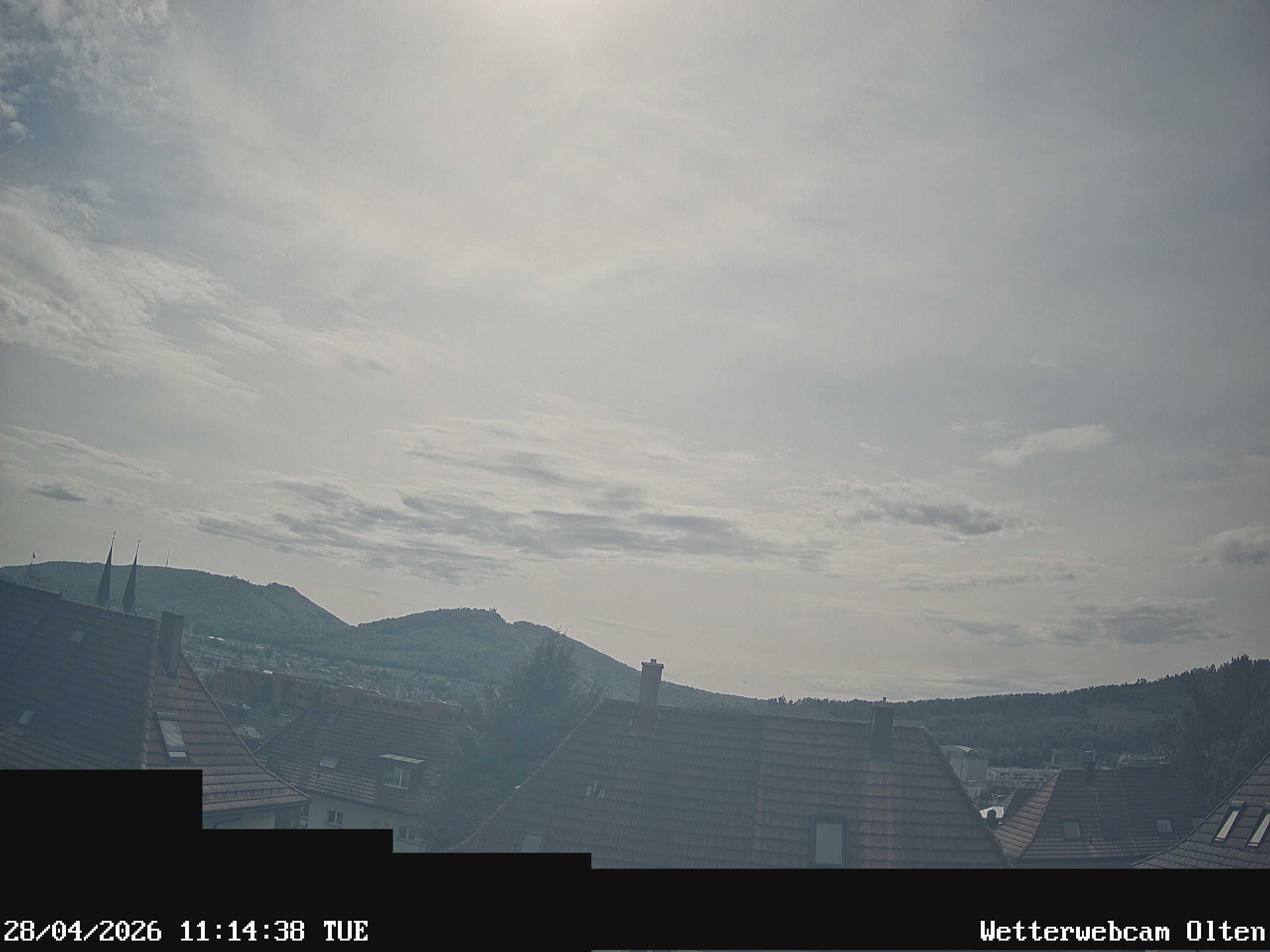 Olten › Süden: Sälischlössli - Ruine alt Wartburg