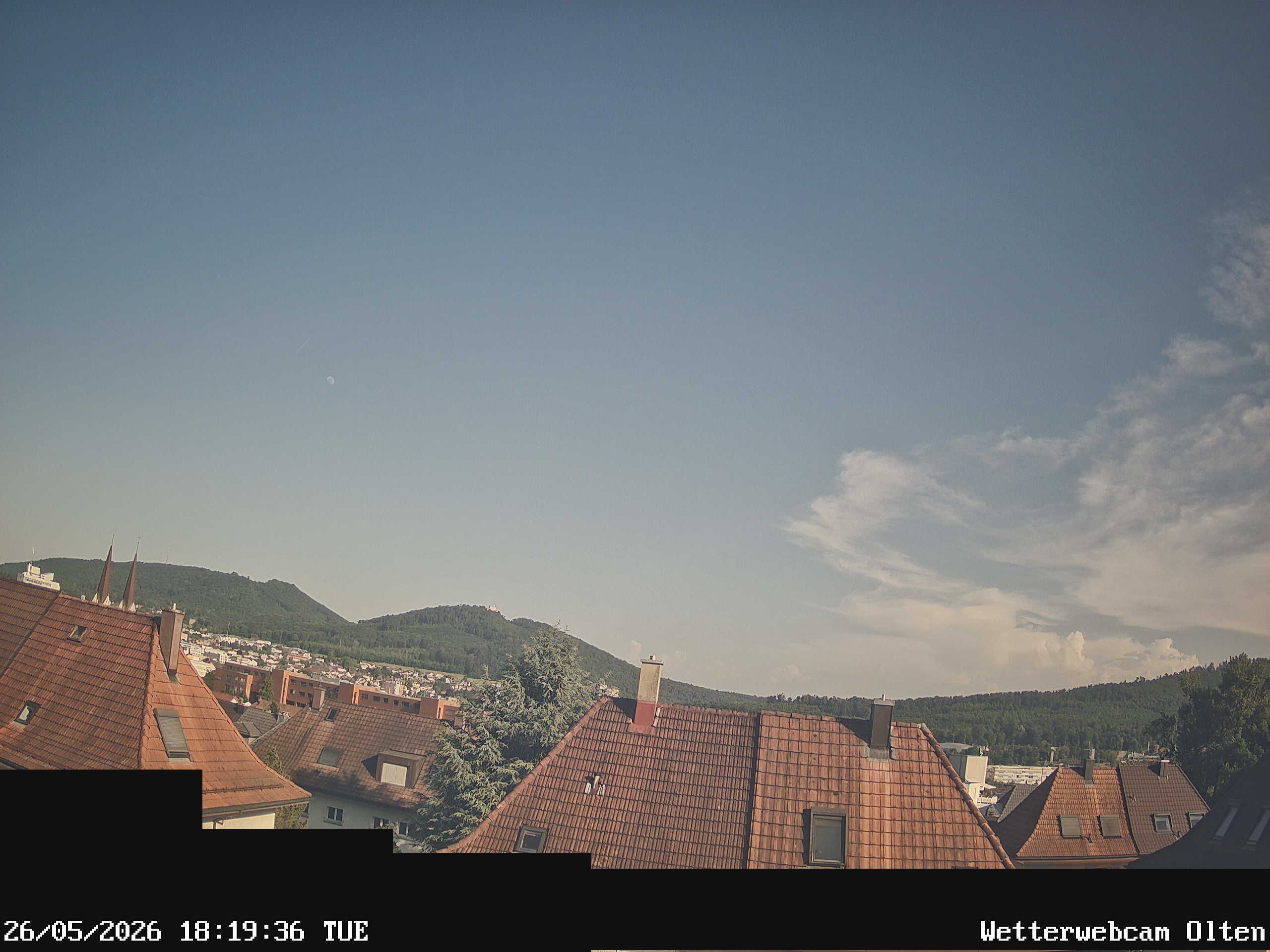 Olten › Süden: Sälischlössli - Ruine alt Wartburg