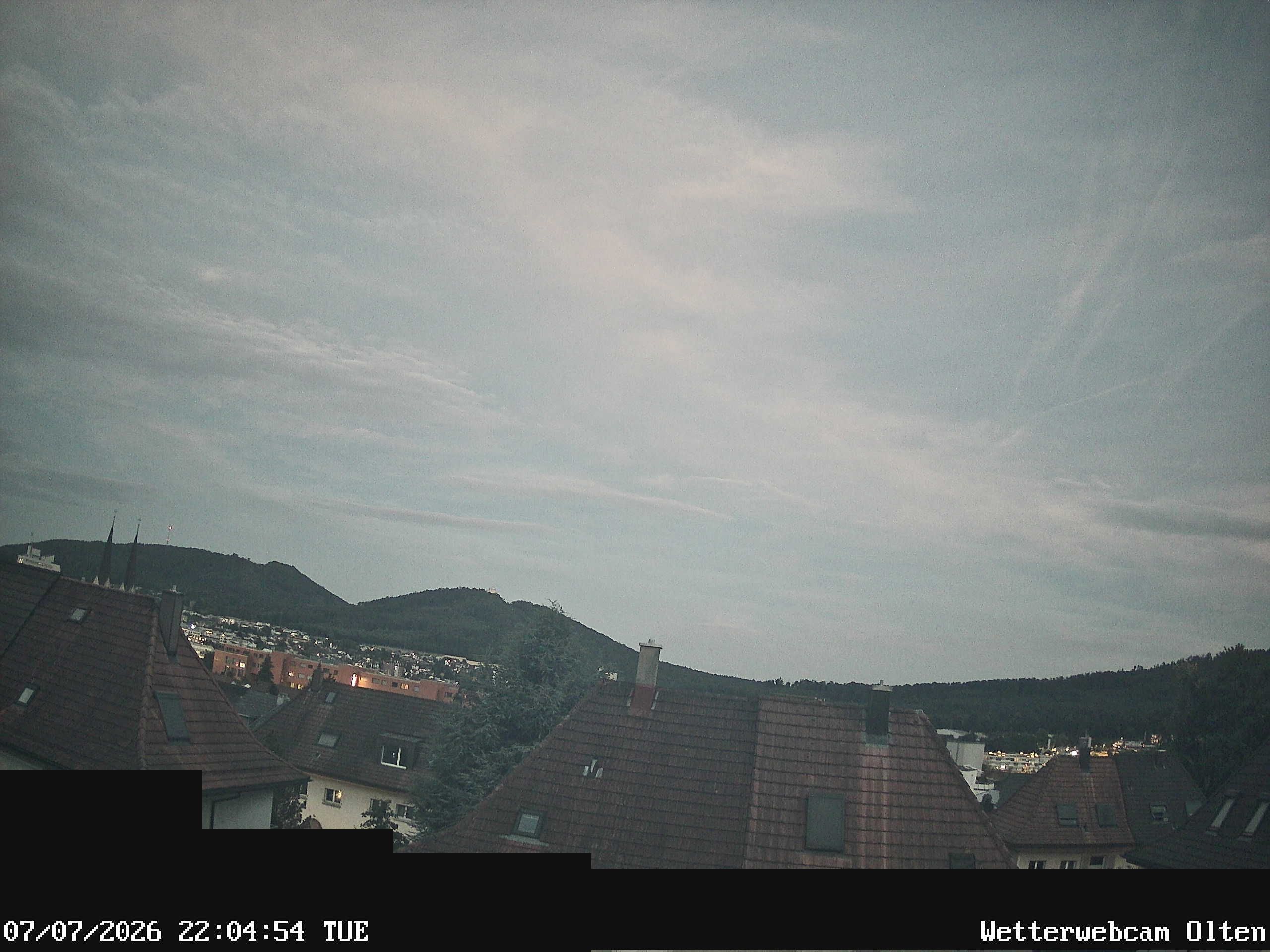 Olten › Süden: Sälischlössli - Ruine alt Wartburg