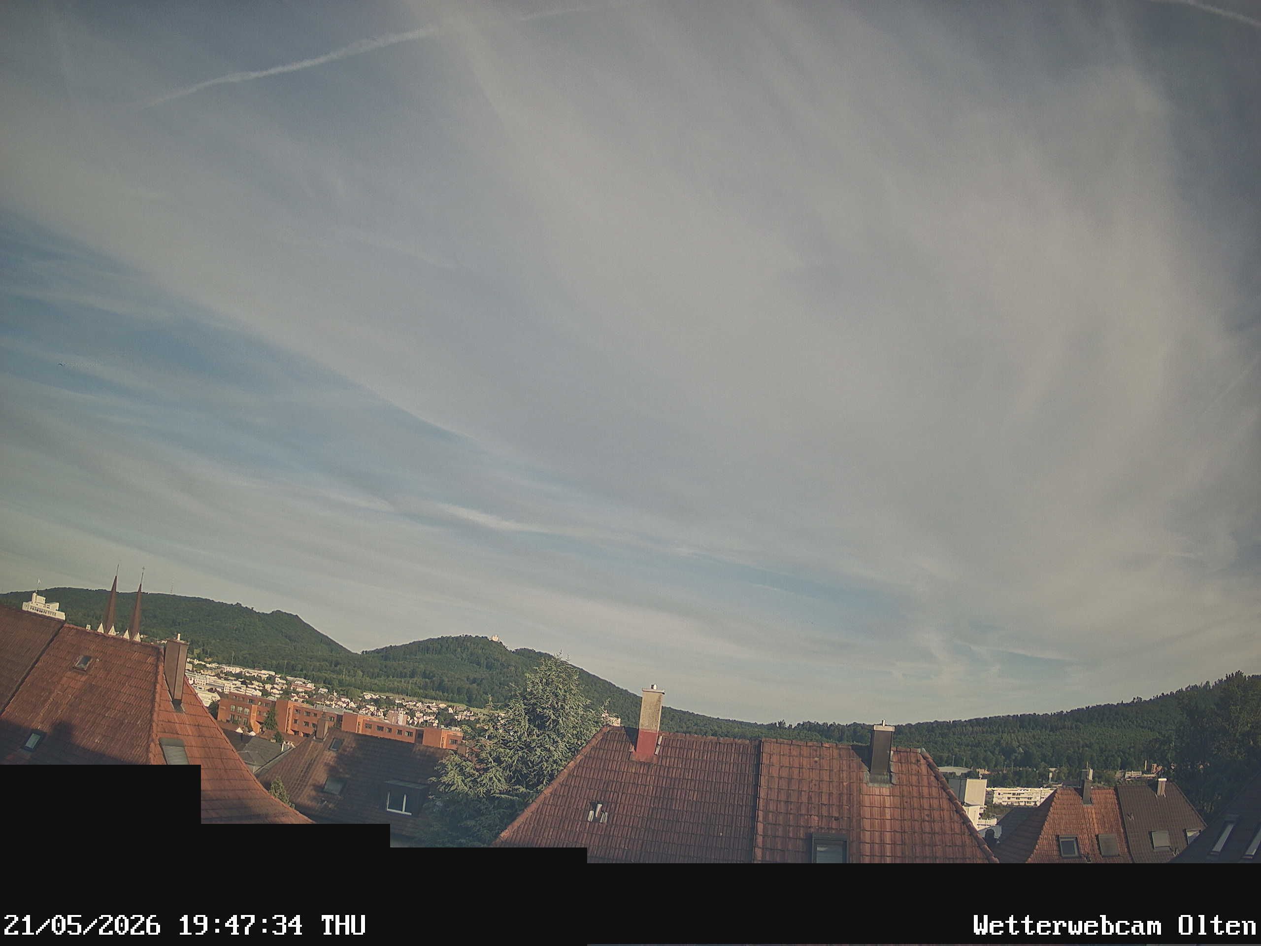 Olten › Süden: Sälischlössli - Ruine alt Wartburg