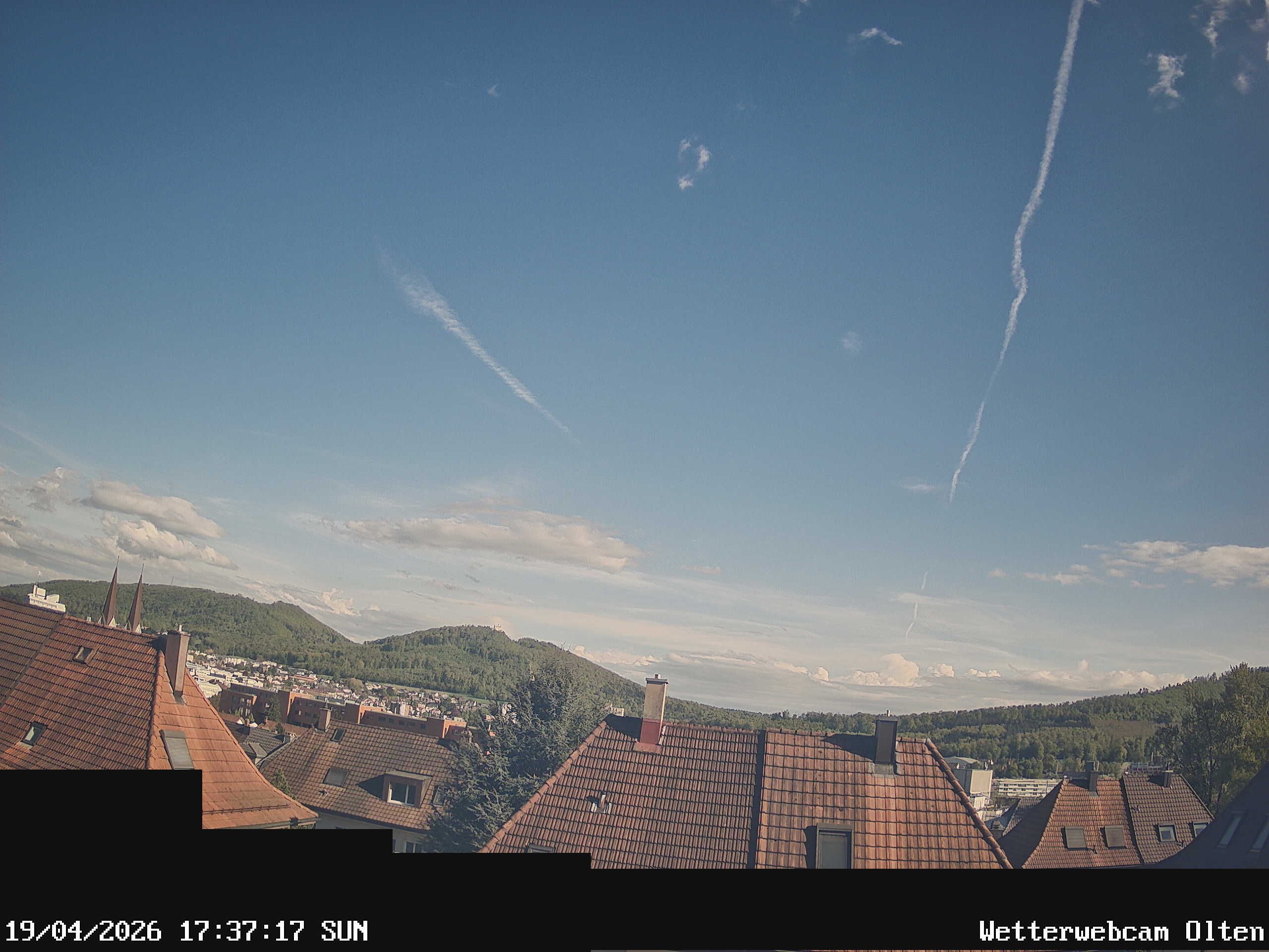 Olten › Süden: Sälischlössli - Ruine alt Wartburg