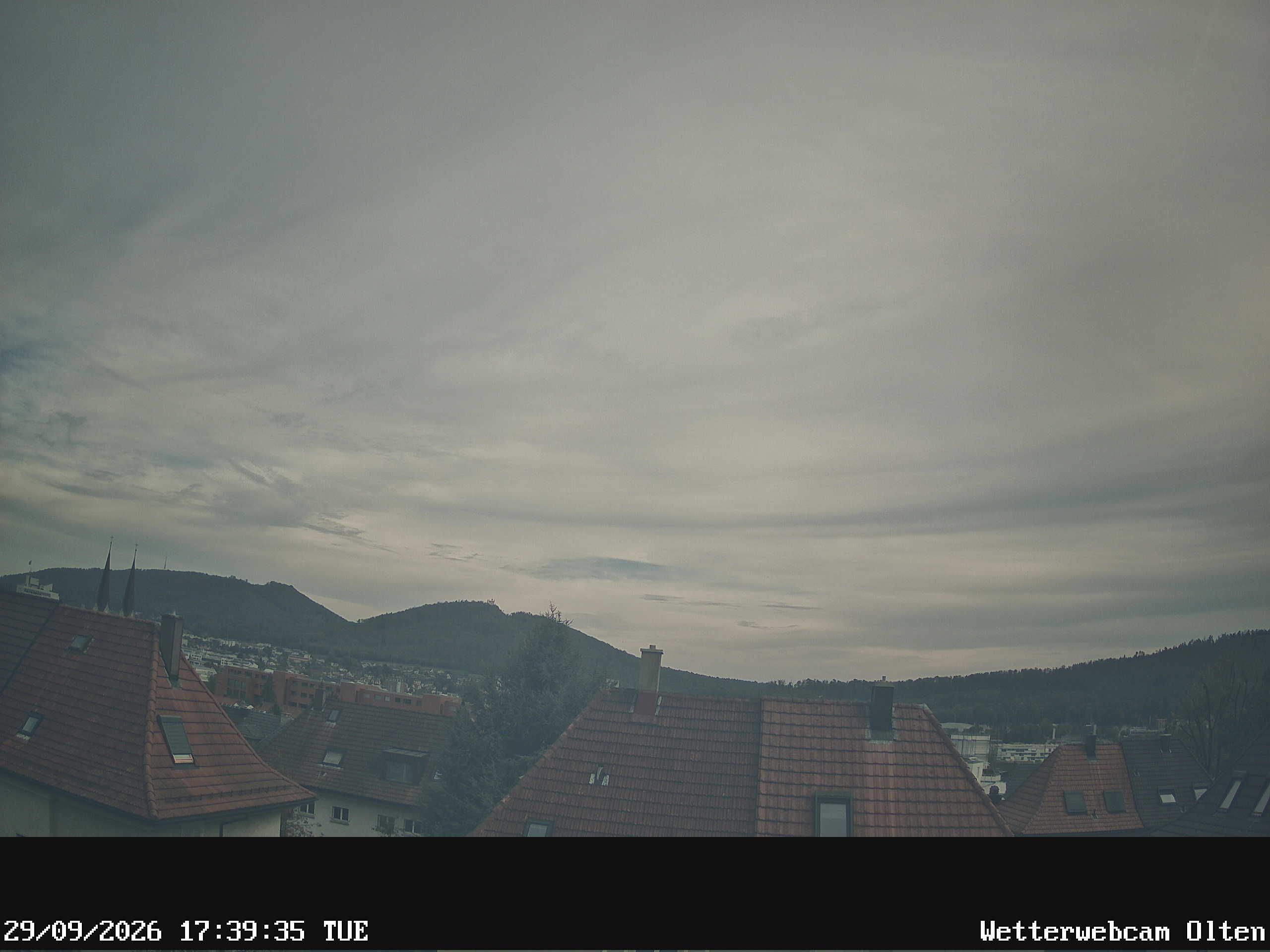 Olten › Süden: Sälischlössli - Ruine alt Wartburg