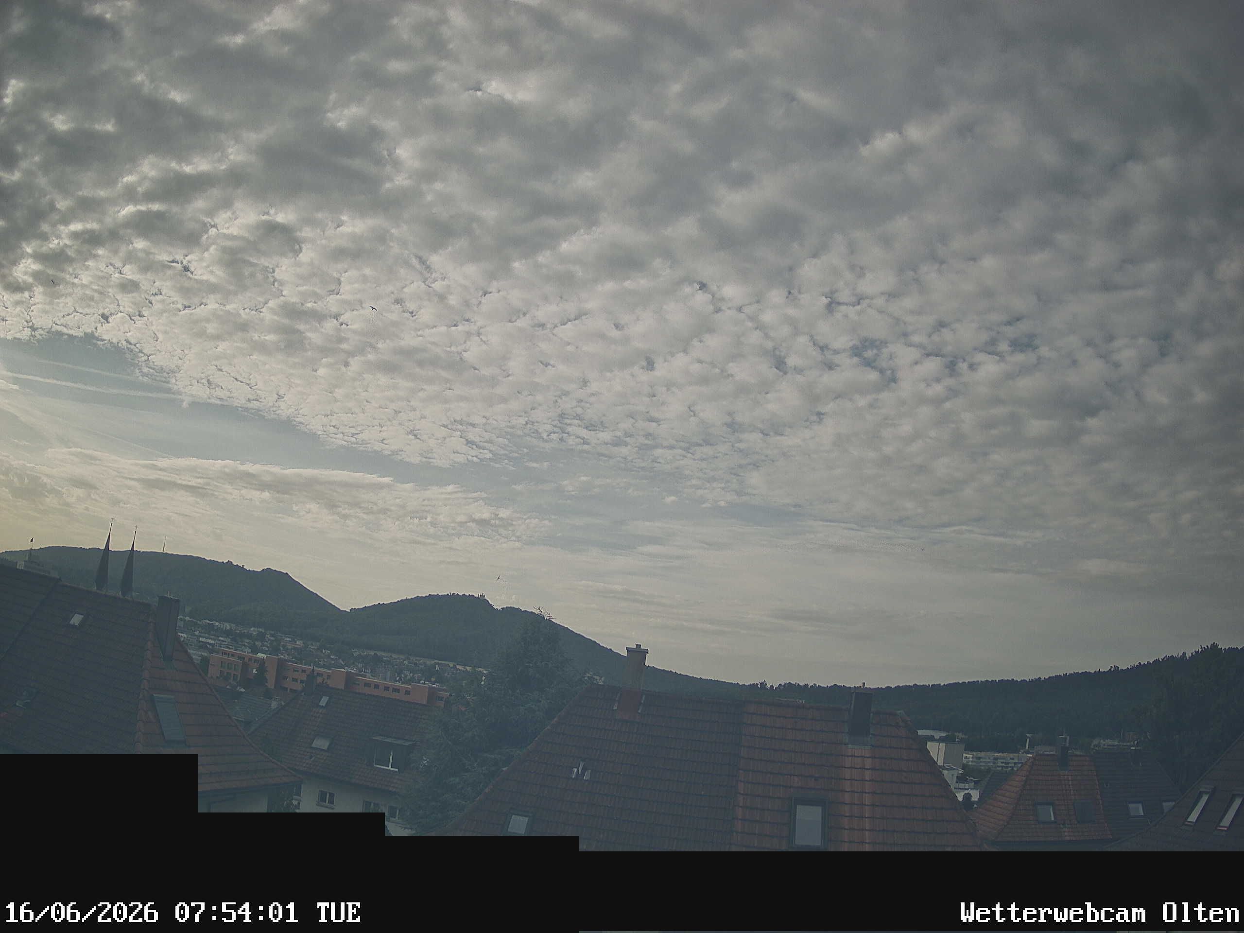 Olten › Süden: Sälischlössli - Ruine alt Wartburg