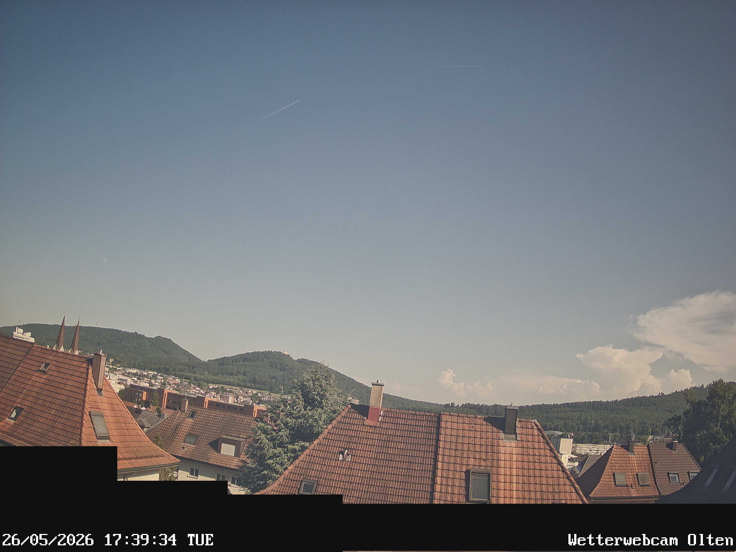 Olten › Süden: Sälischlössli - Ruine alt Wartburg