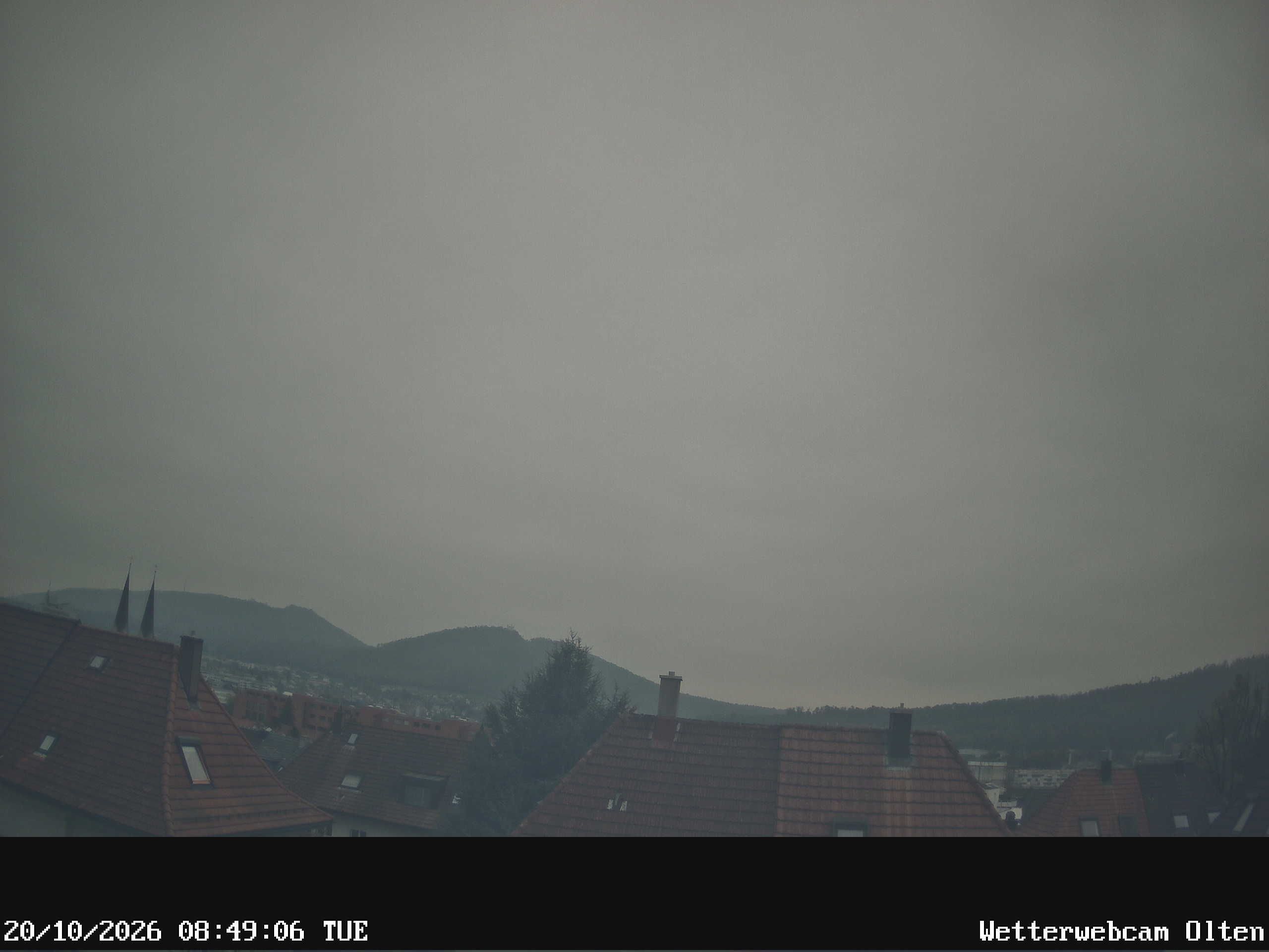 Olten › Süden: Sälischlössli - Ruine alt Wartburg