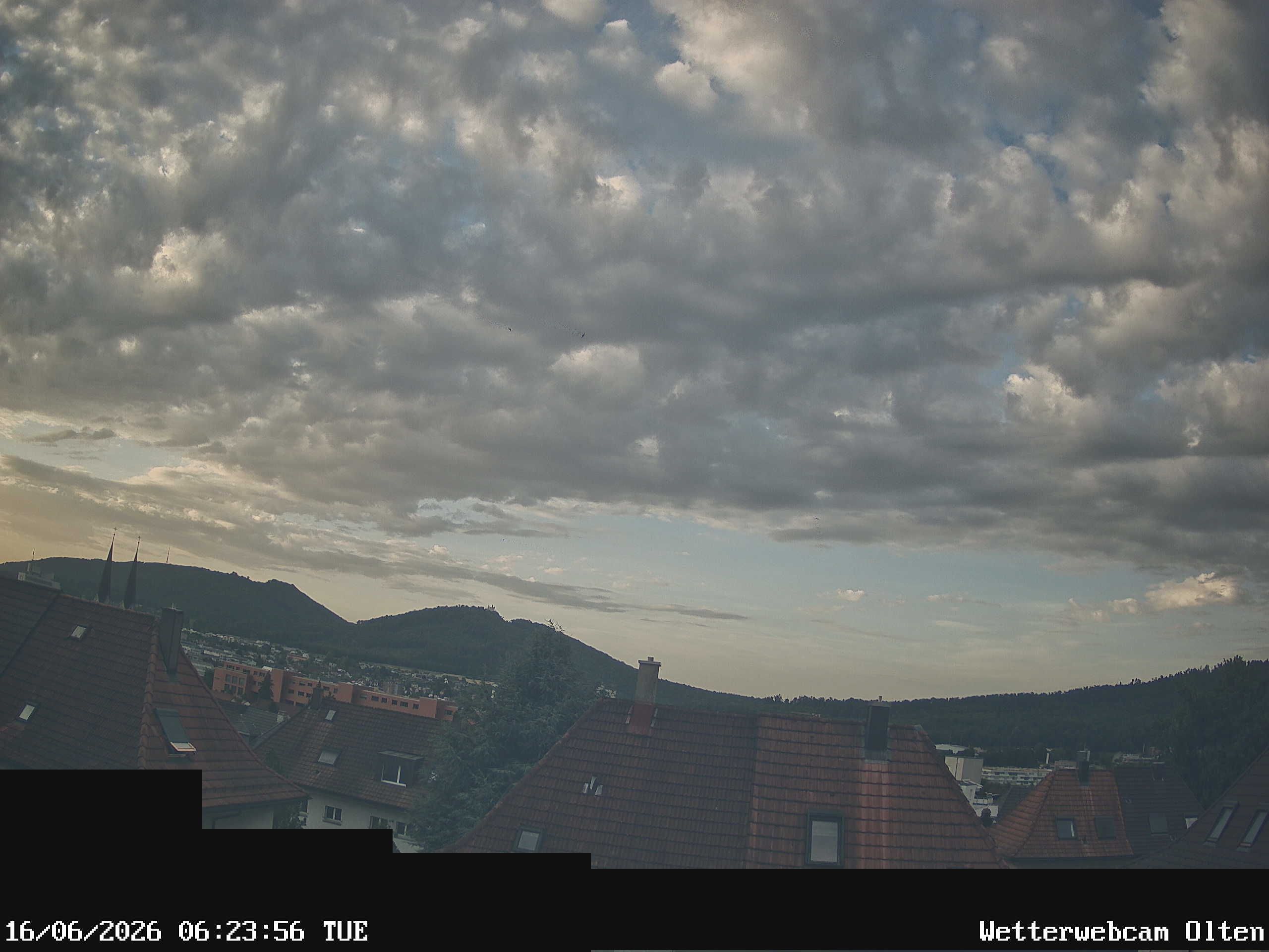 Olten › Süden: Sälischlössli - Ruine alt Wartburg