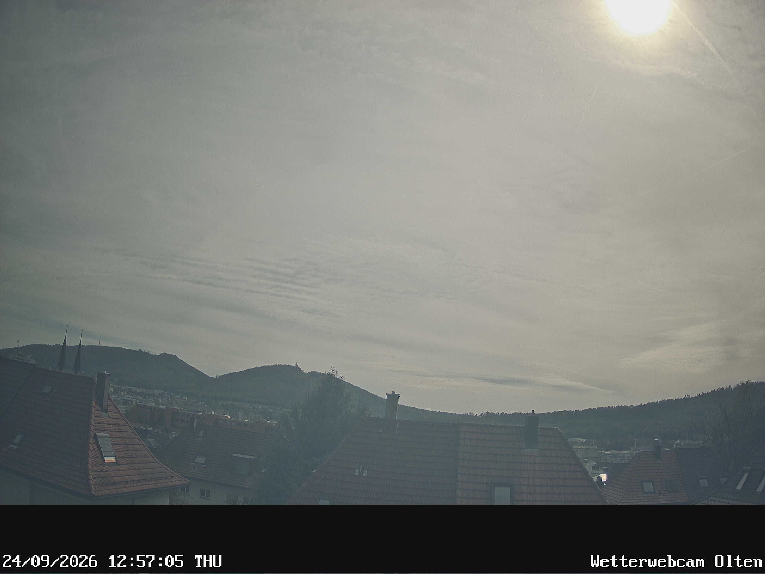 Olten › Süden: Sälischlössli - Ruine alt Wartburg