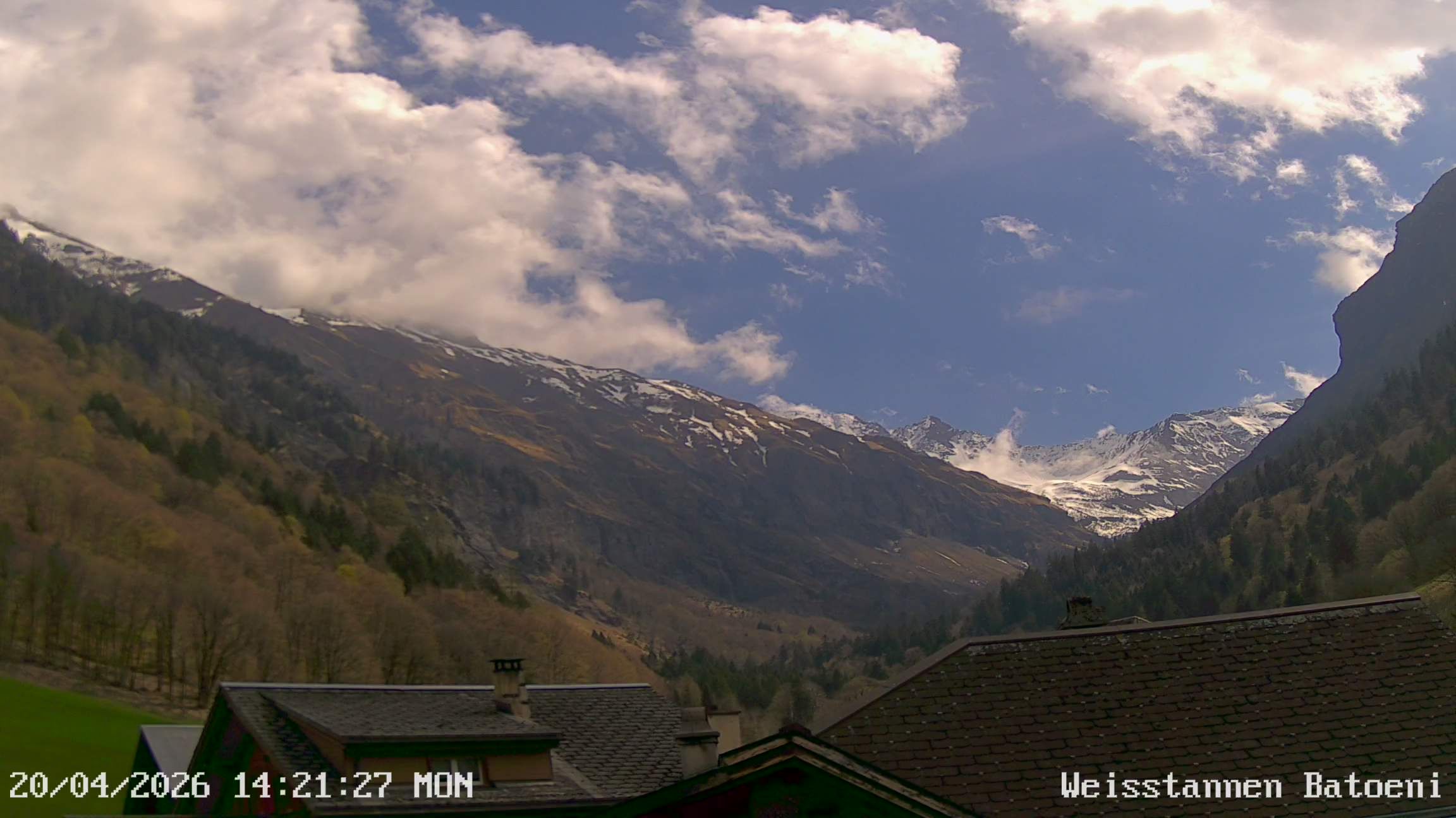 Mels › Südosten: Weisstannen