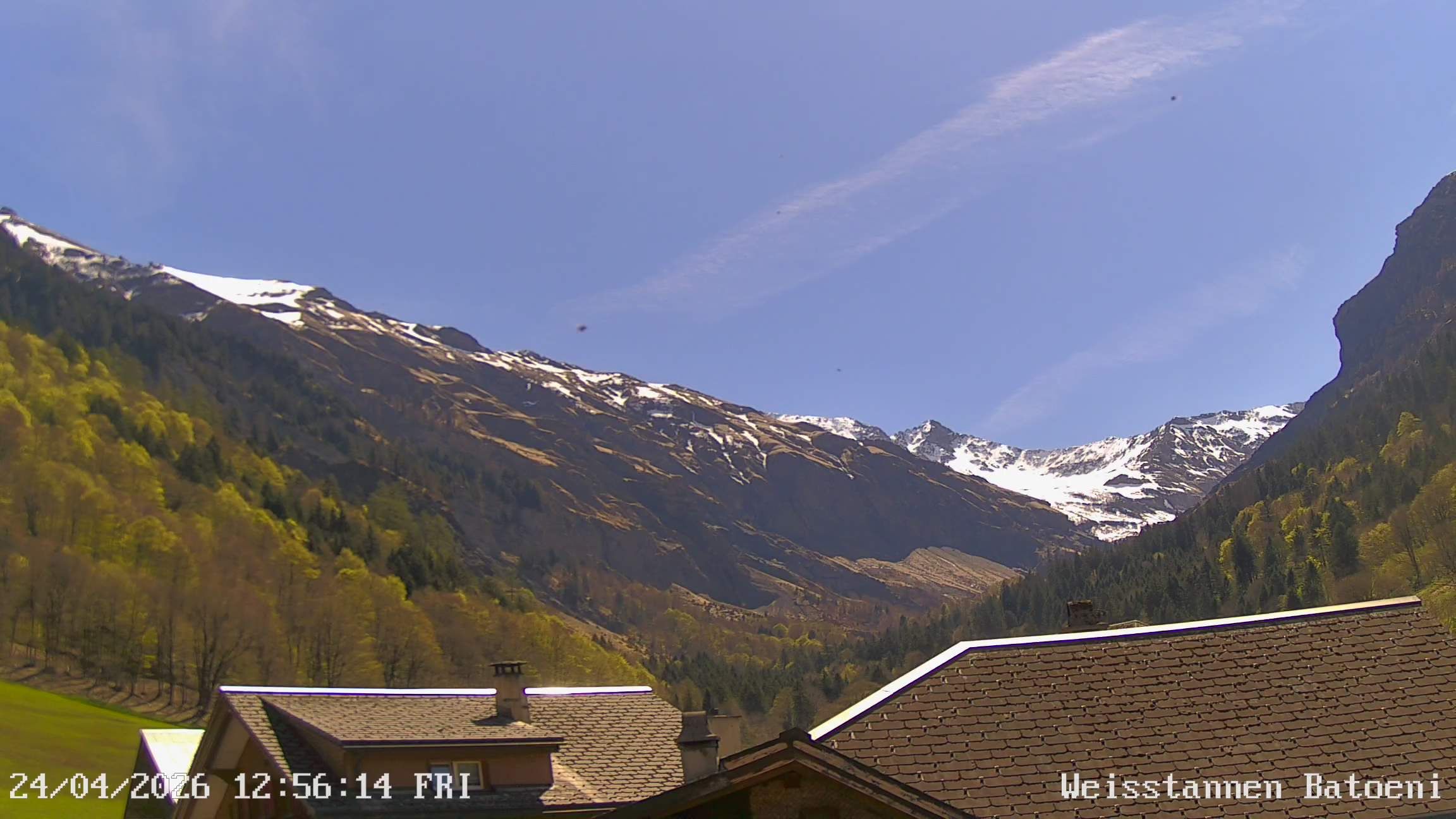 Mels › Südosten: Weisstannen