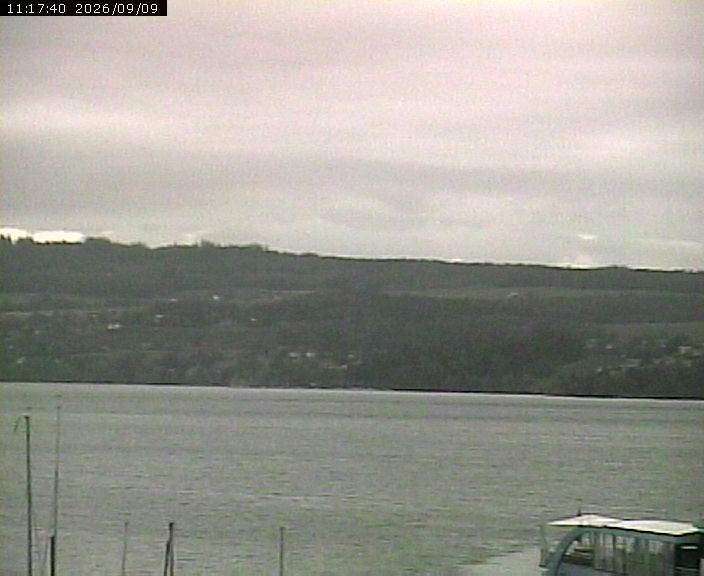 Beinwil am See › Nordosten: Lake Hallwil