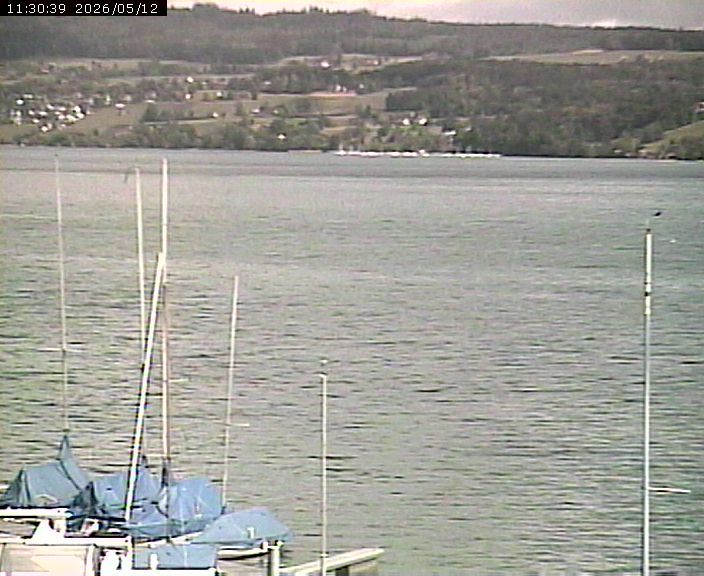 Beinwil am See: Hallwilersee Nord 2