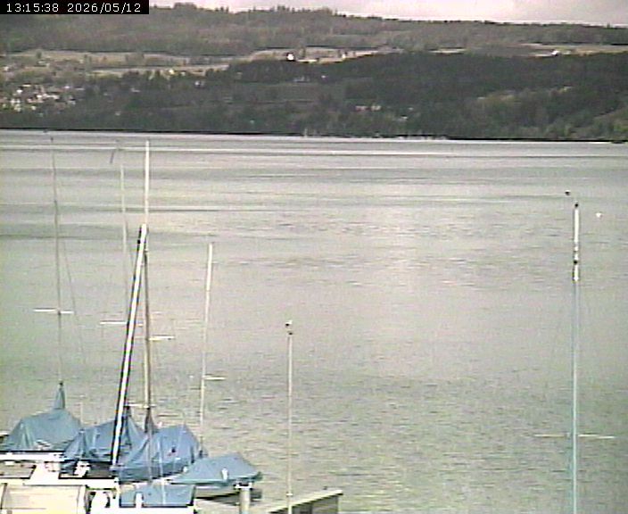 Beinwil am See: Hallwilersee Nord 2