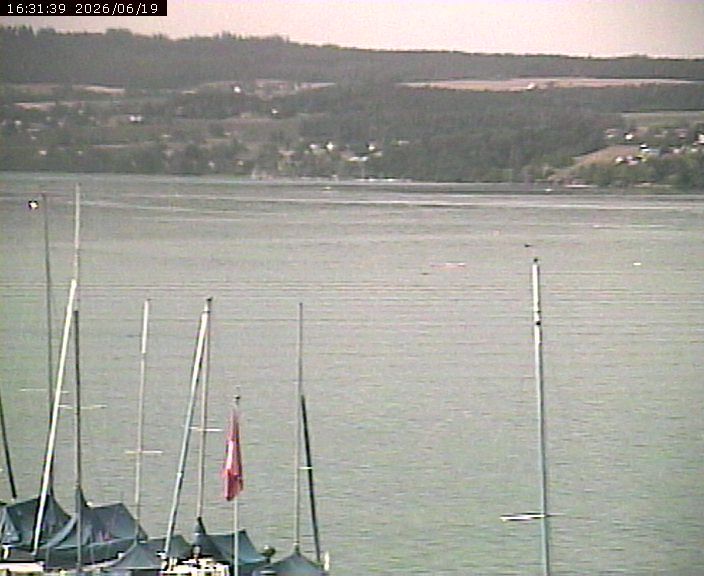 Beinwil am See › Nordosten: Lake Hallwil
