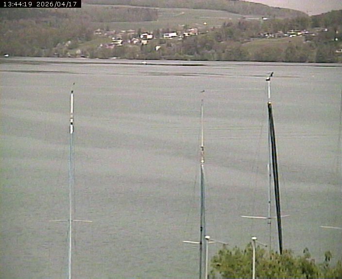 Beinwil am See: Hallwilersee Nord 2