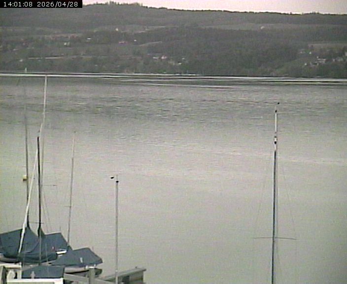 Beinwil am See: Hallwilersee Nord 2