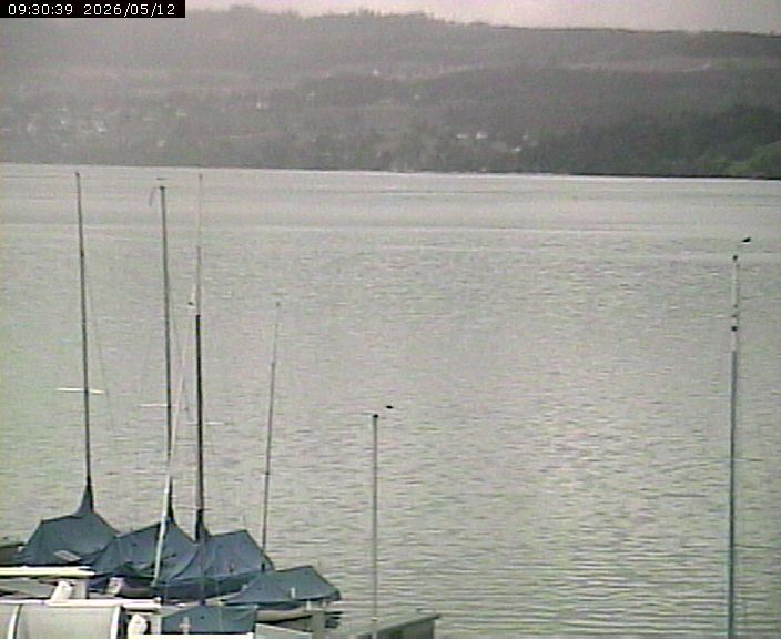 Beinwil am See: Hallwilersee Nord 2