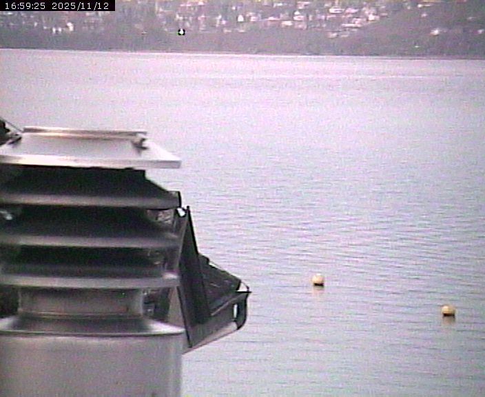 Beinwil am See: Hallwilersee Nord 2