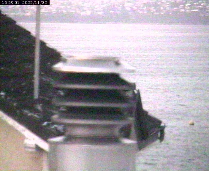 Beinwil am See: Hallwilersee Nord 2