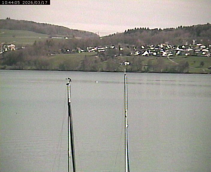 Beinwil am See: Hallwilersee Nord 2