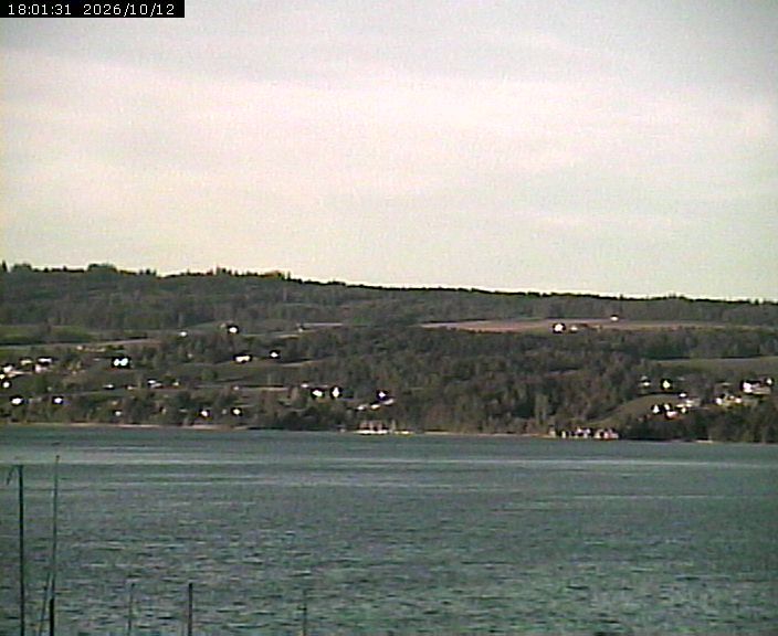 Beinwil am See › Nordosten: Lake Hallwil