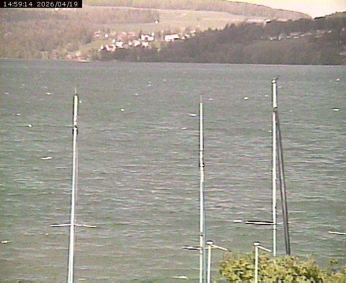 Beinwil am See: Hallwilersee Nord 2