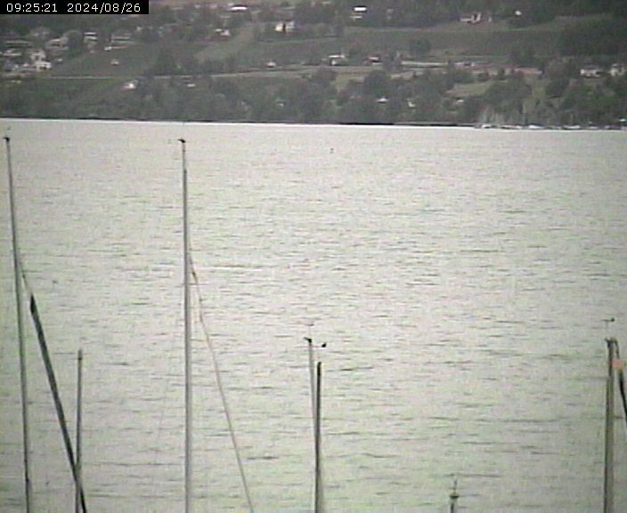 Beinwil am See: Hallwilersee Nord 2