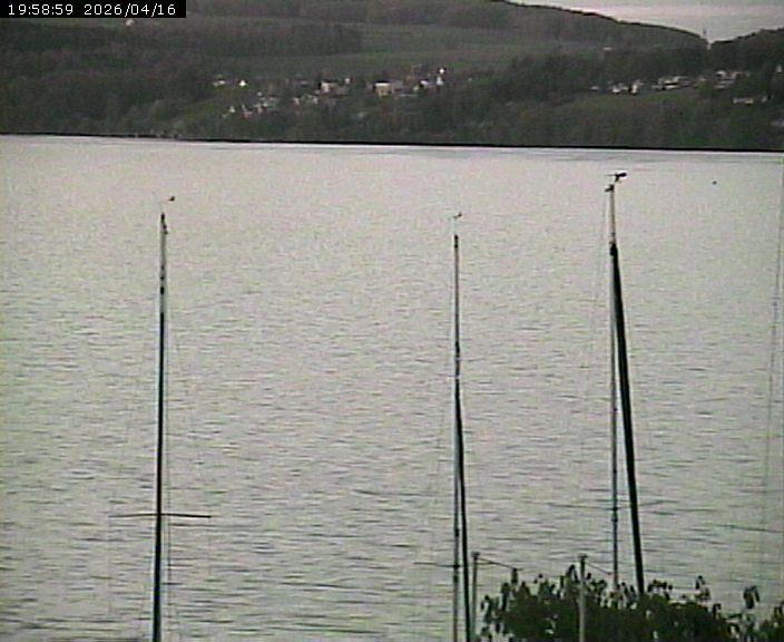Beinwil am See: Hallwilersee Nord 2