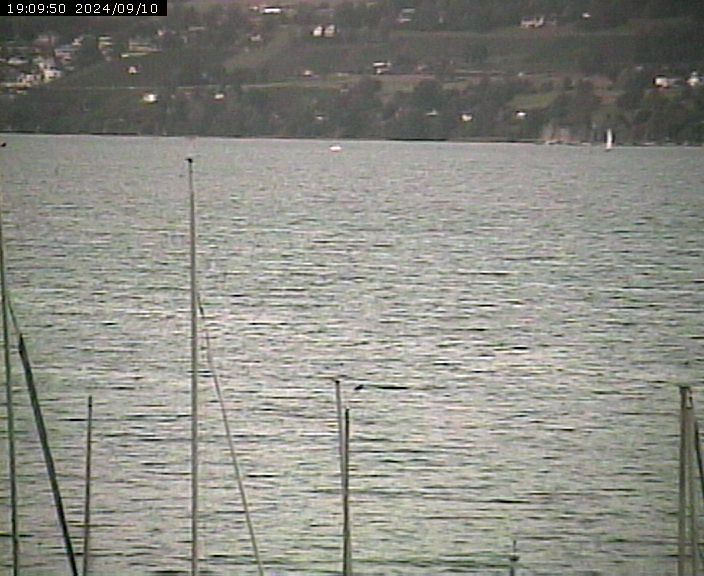 Beinwil am See: Hallwilersee Nord 2